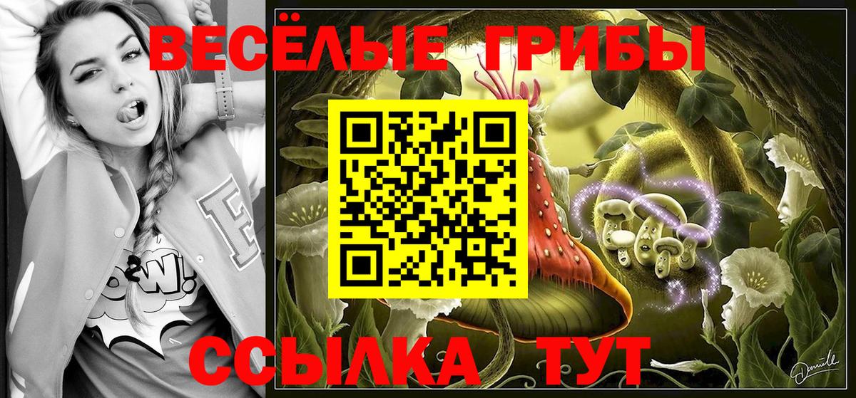 Кимовск  Псилоцибиновые грибы Psilocybe  продажа наркотиков  Вход с VPN 
